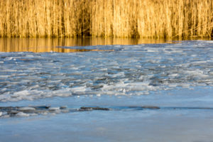Berlin, Wannsee, Schilfufer, Eis Berlin, Wannsee, Schilfufer, Eis
